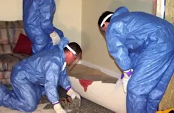 3 biohazard tecnicians cleaning up biohazards off the floor of a house