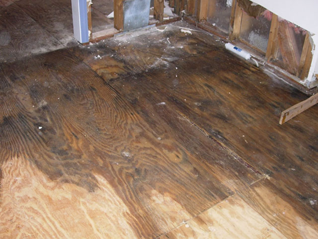 wood floor with water damage
